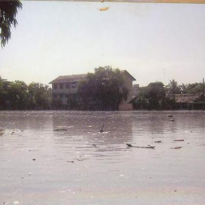 Surviving the Storm: The School Through Tsunami’s Eyes